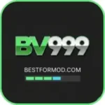BV999 Game