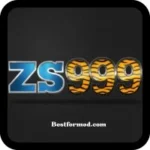 ZS999 Game